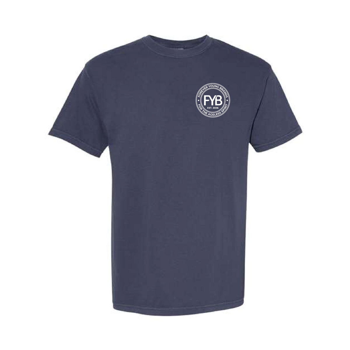 FYB Embrace the Gray Comfort Colors T-shirt