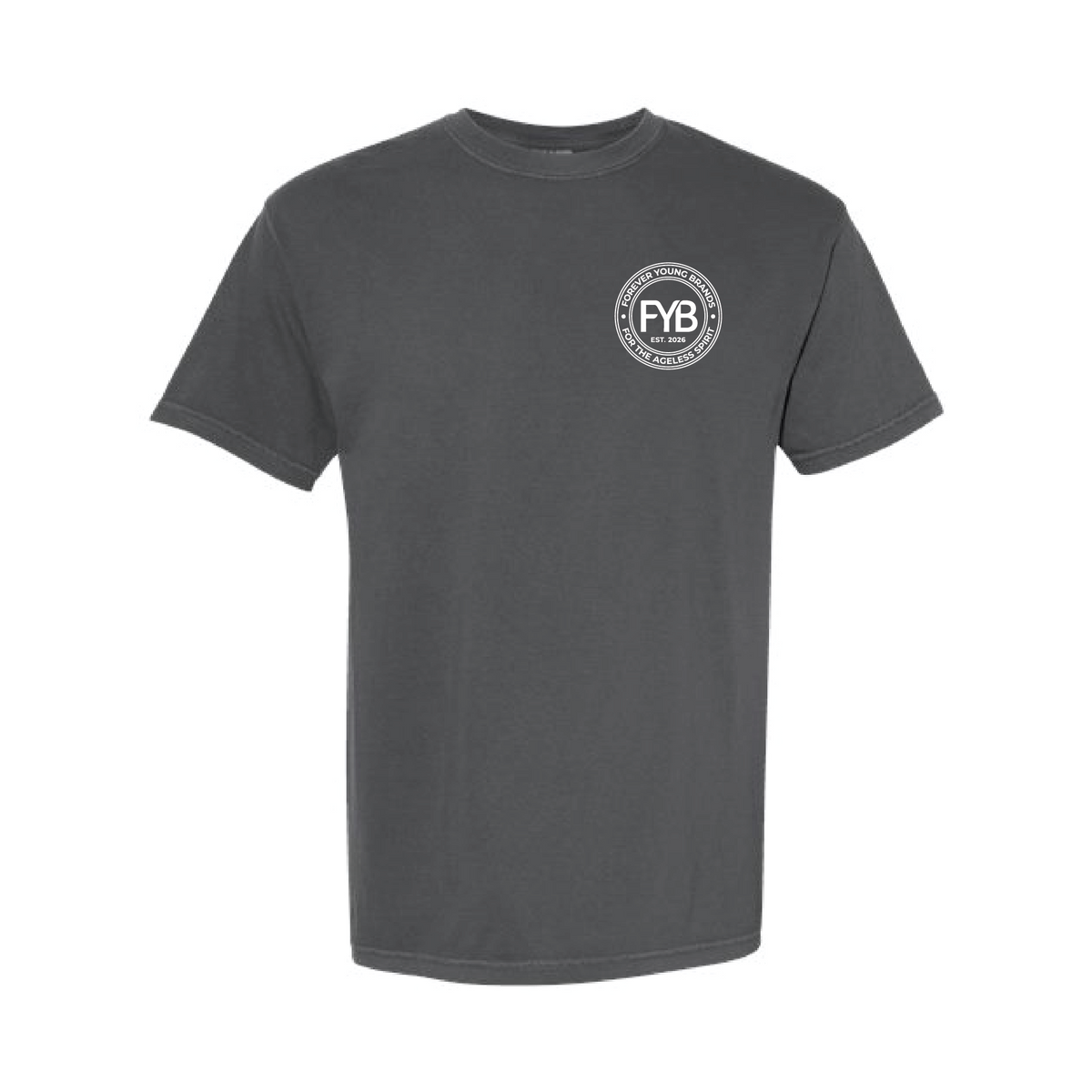 FYB Embrace the Gray Comfort Colors T-shirt