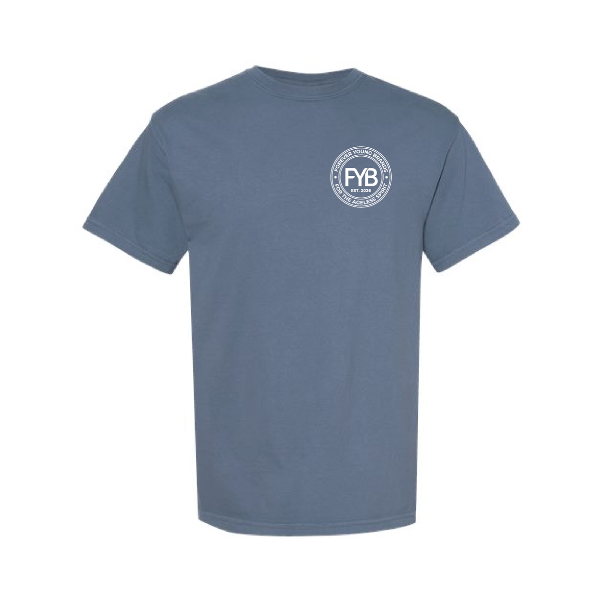 FYB Embrace the Gray Comfort Colors T-shirt
