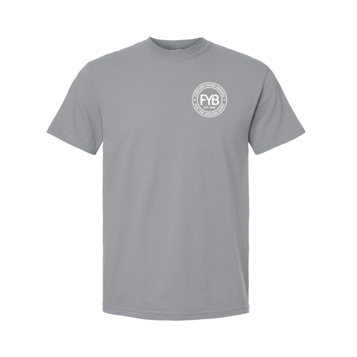 FYB Embrace the Gray Comfort Colors T-shirt