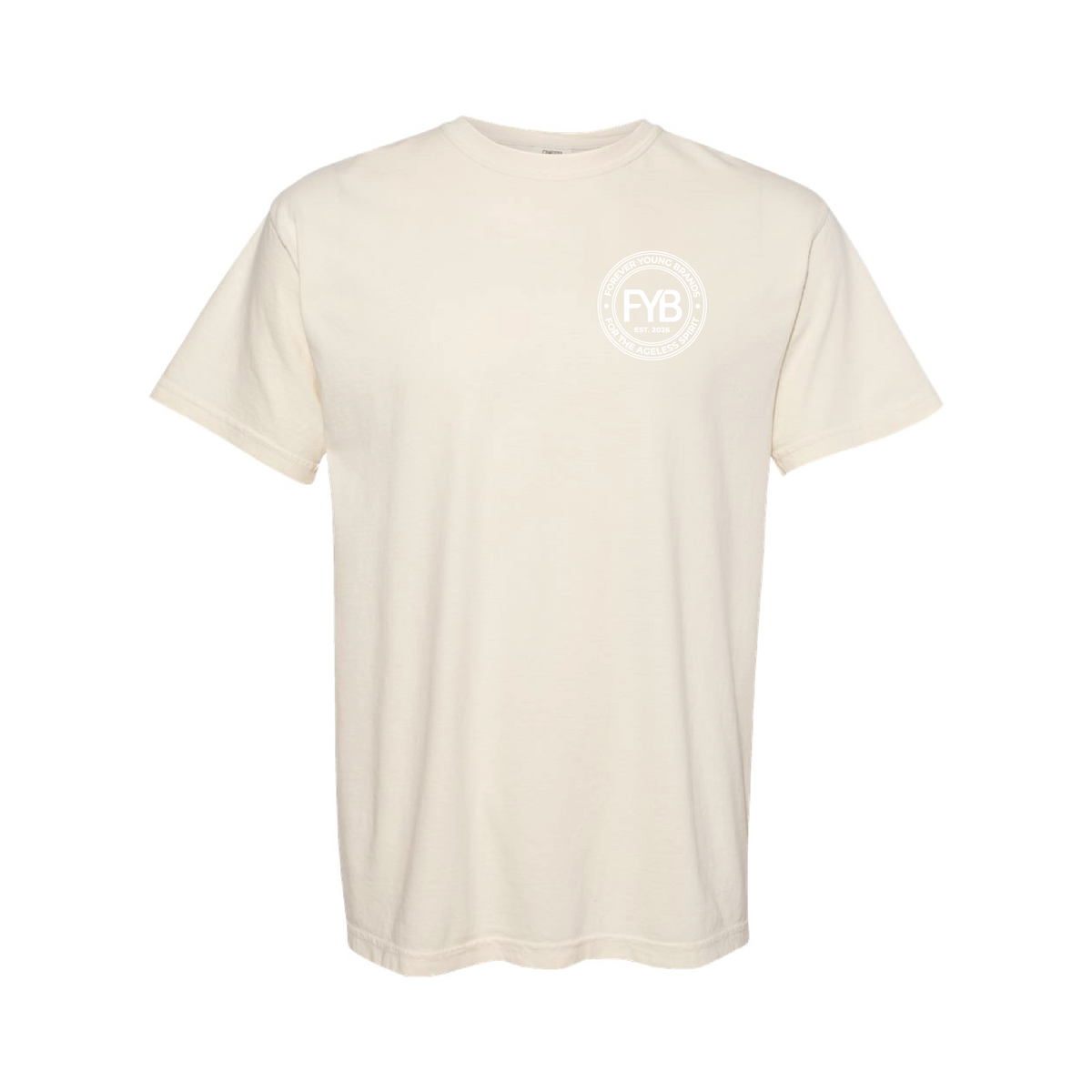 FYB Embrace the Gray Comfort Colors T-shirt