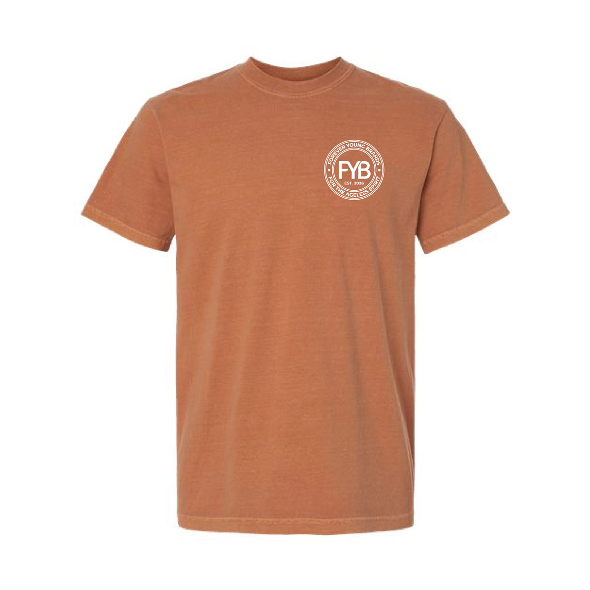 FYB Embrace the Gray Comfort Colors T-shirt
